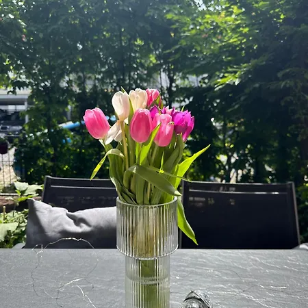 Luxus I Wohnkueche I Garten I Terrasse I Parkplatz Διαμέρισμα